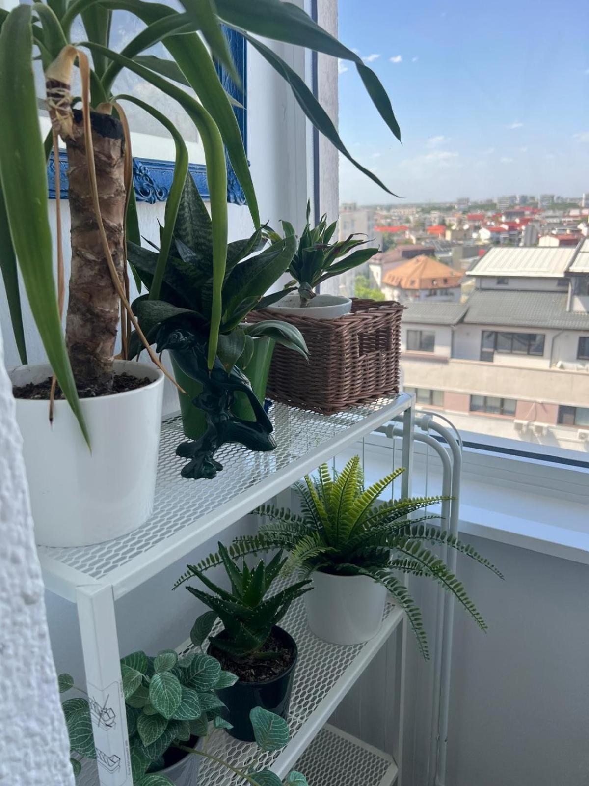 1Bdr Apartment Perla 225 Bucureşti Exterior foto
